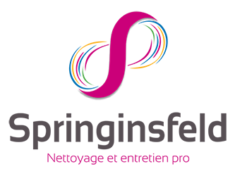 logo-springinsfeld